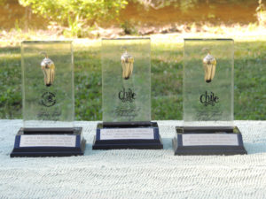 3 Golden Chile Awards